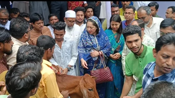 ফরিদপুরে নারী উন্নয়ন ফোরামের  ১৫৬টি গরু বিতরণ